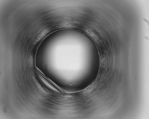 X0000097300158200802221344