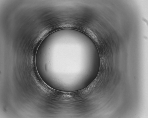 X0000097300159200802221344