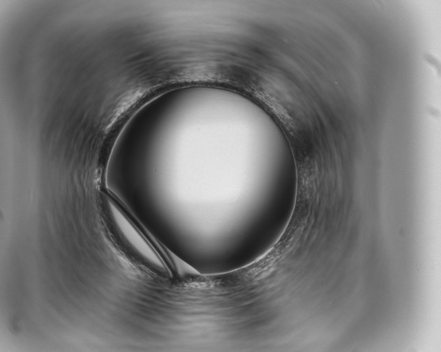 X0000097300160200802221344