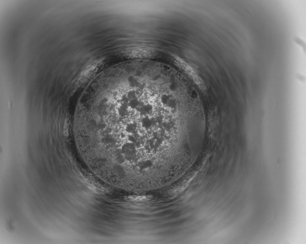 X0000097300161200802221344