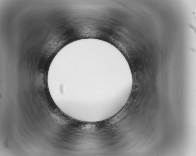 X0000097300162200802221344