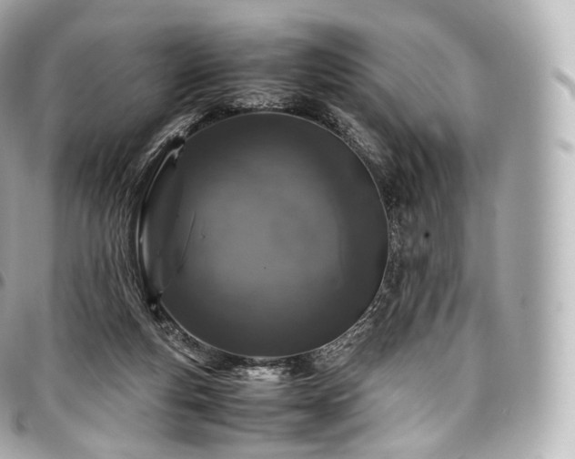 X0000097300163200802221344