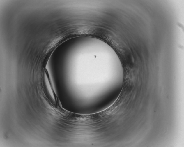 X0000097300164200802221344