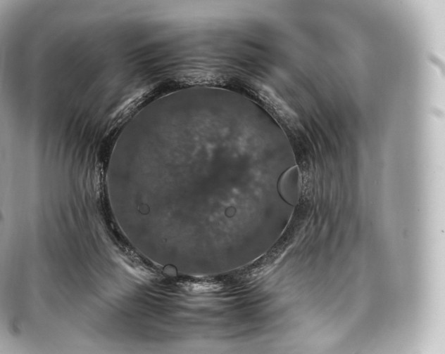 X0000097300165200802221344