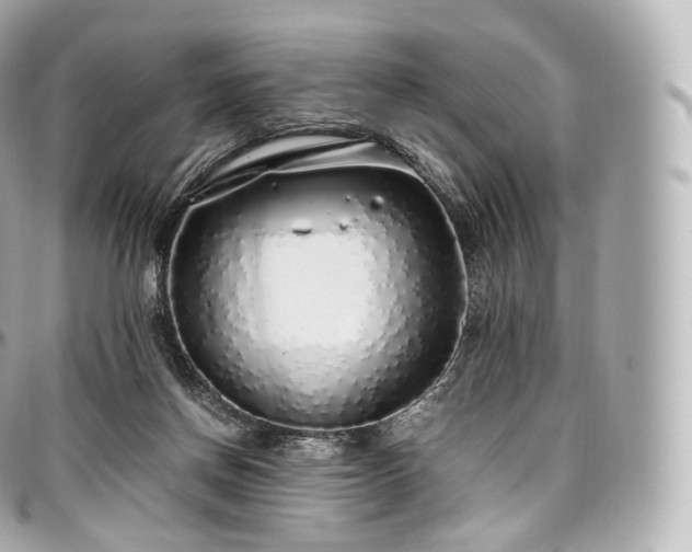 X0000097300166200802221344