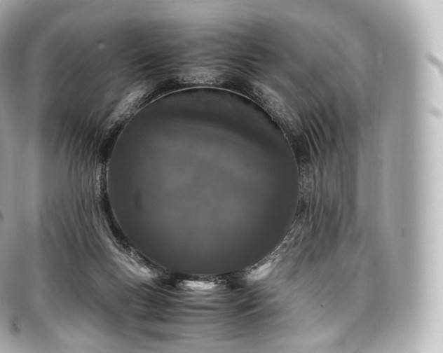 X0000097300167200802221344