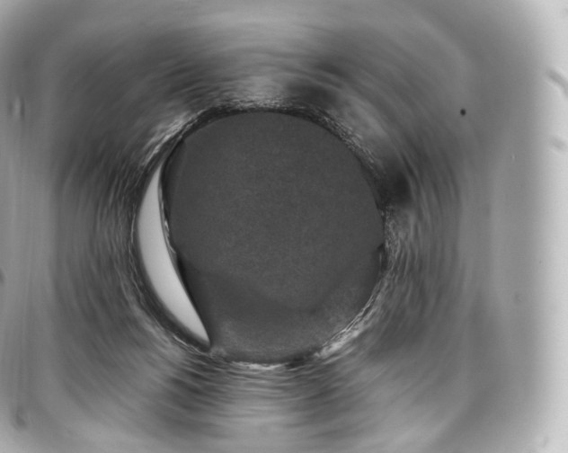 X0000097300168200802221344