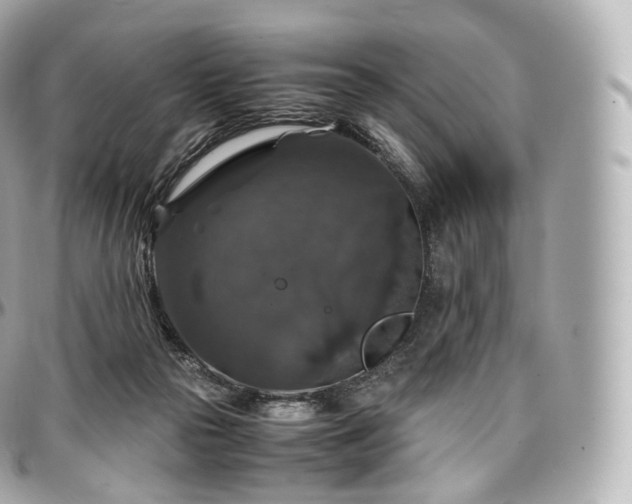 X0000097300169200802221344