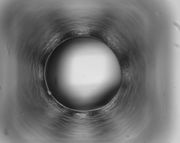 X0000097300170200802221344