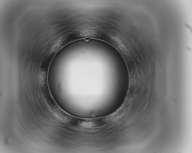 X0000097300171200802221344