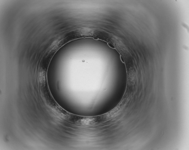 X0000097300172200802221344