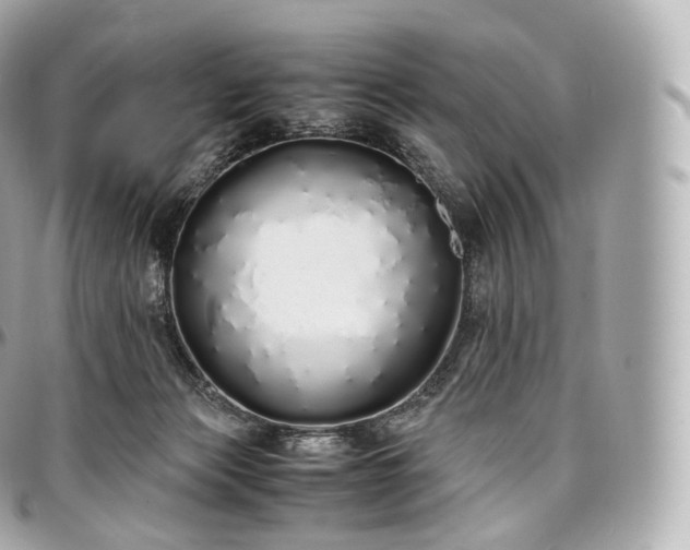 X0000097300173200802221344