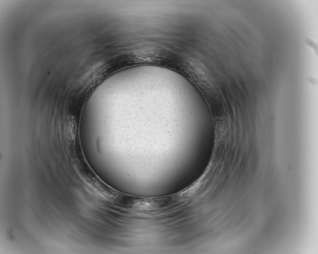 X0000097300174200802221344