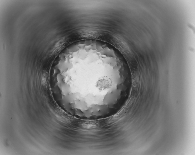 X0000097300175200802221344