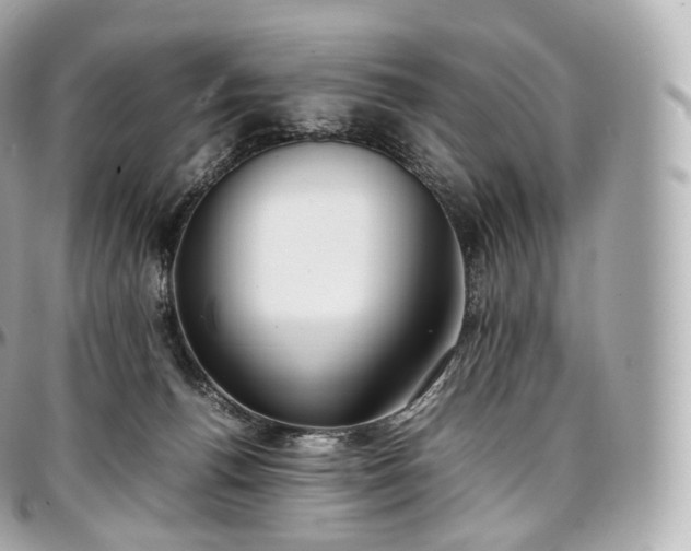 X0000097300176200802221344