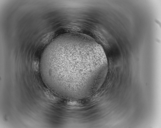 X0000097300177200802221344