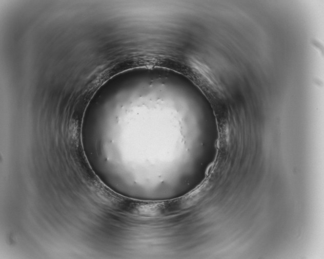 X0000097300178200802221344