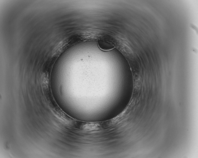 X0000097300179200802221344