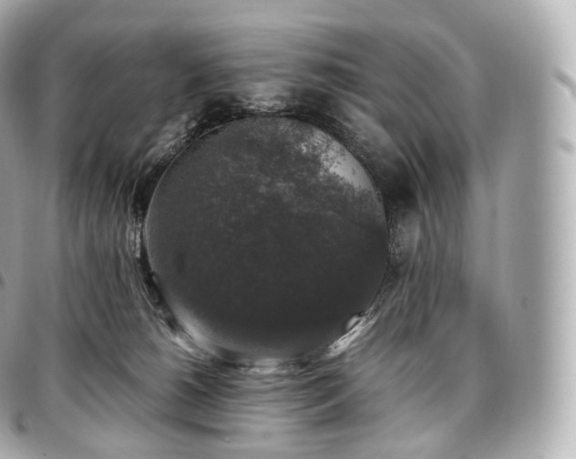 X0000097300180200802221344