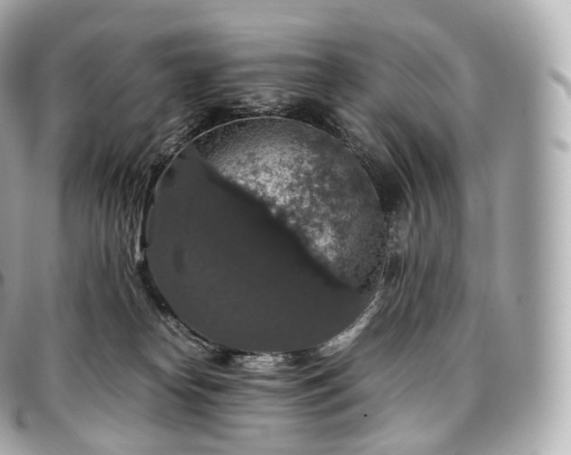 X0000097300182200802221344