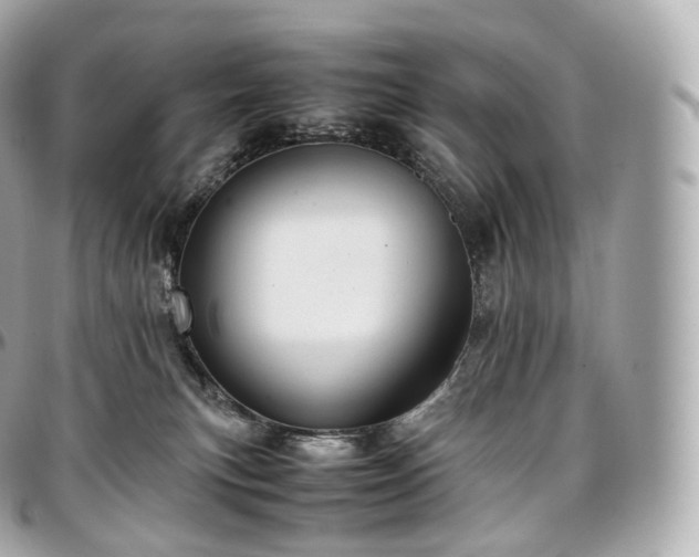 X0000097300183200802221344