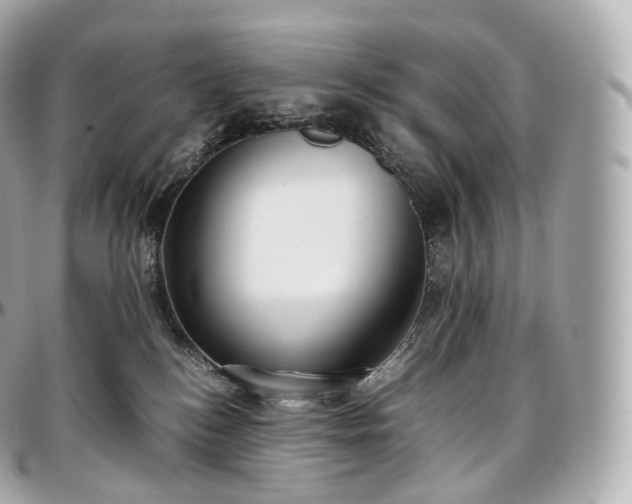 X0000097300184200802221344