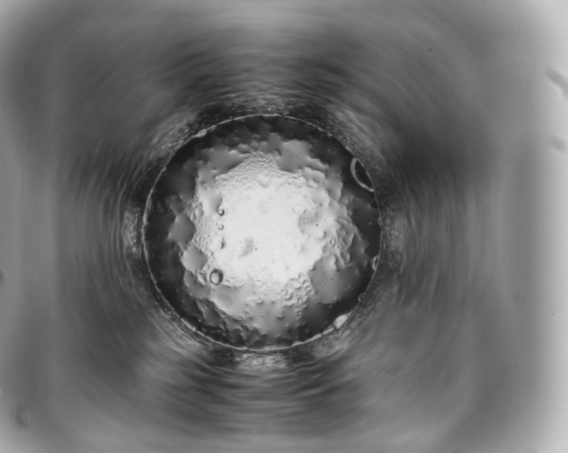 X0000097300185200802221344