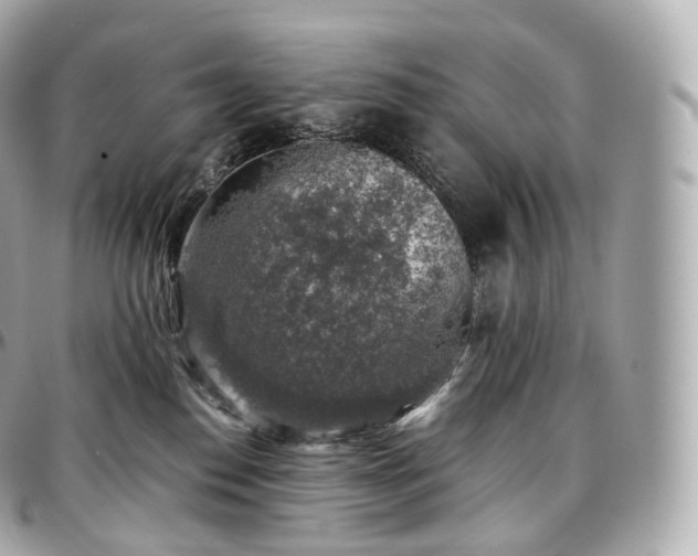 X0000097300186200802221344