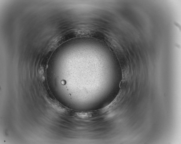 X0000097300187200802221344