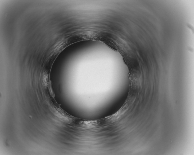 X0000097300188200802221344