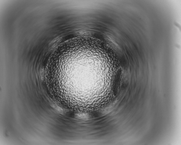 X0000097300189200802221344