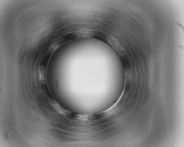 X0000097300190200802221344