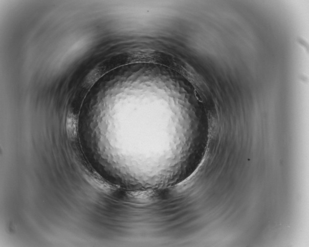 X0000097300191200802221344