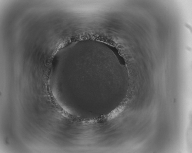 X0000097300192200802221344