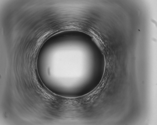 X0000097300193200802221344