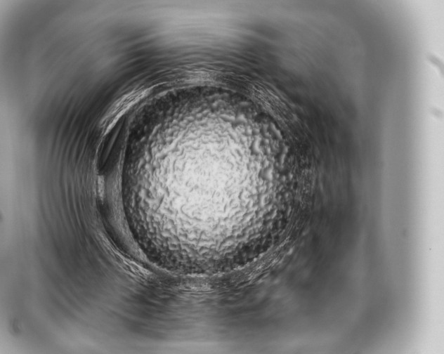 X0000097300194200802221343