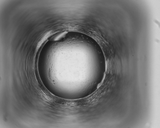 X0000097300195200802221343