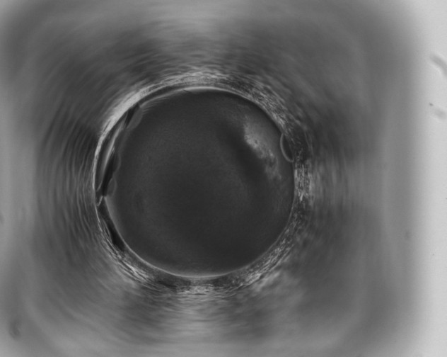 X0000097300196200802221343