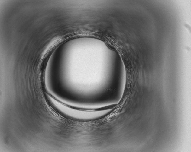 X0000097300197200802221343