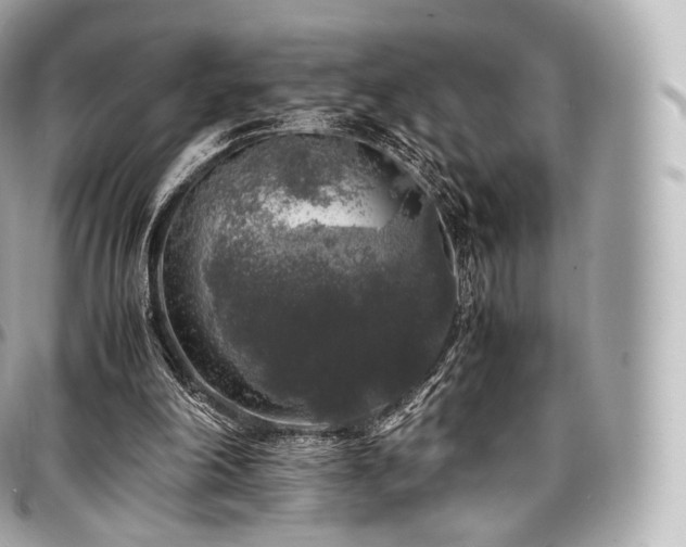 X0000097300198200802221343