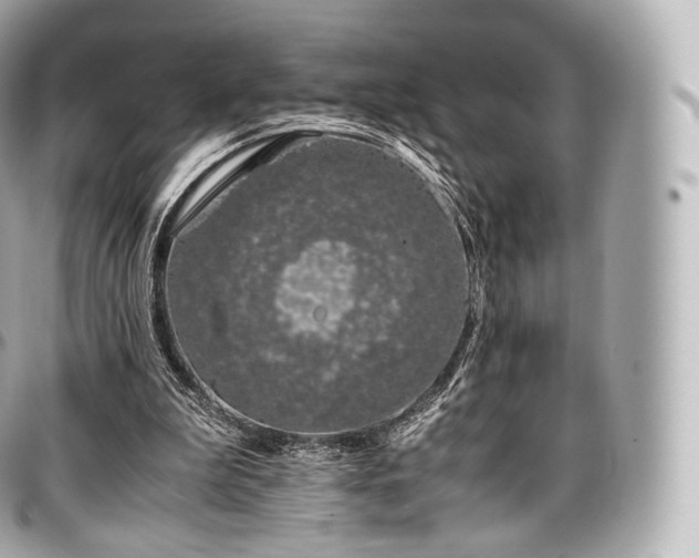 X0000097300199200802221343