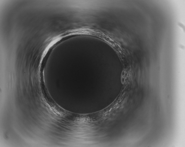 X0000097300200200802221343