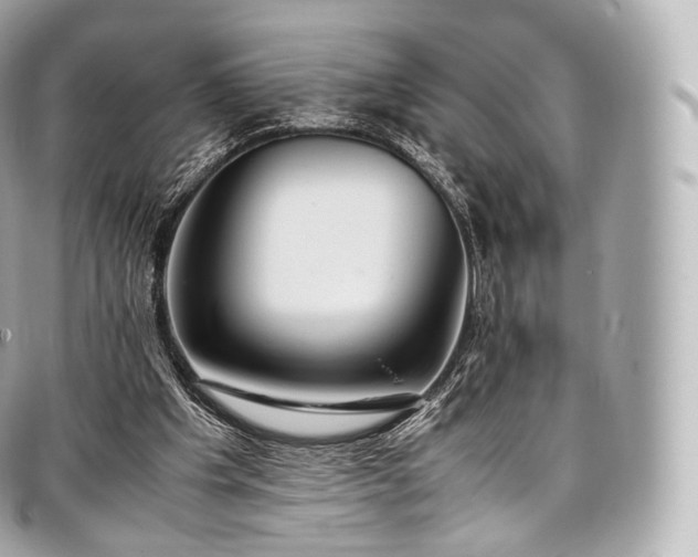 X0000097300201200802221343