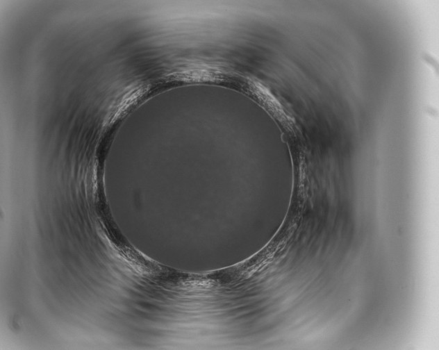 X0000097300202200802221343