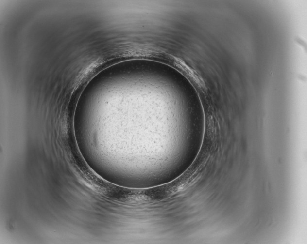 X0000097300203200802221343