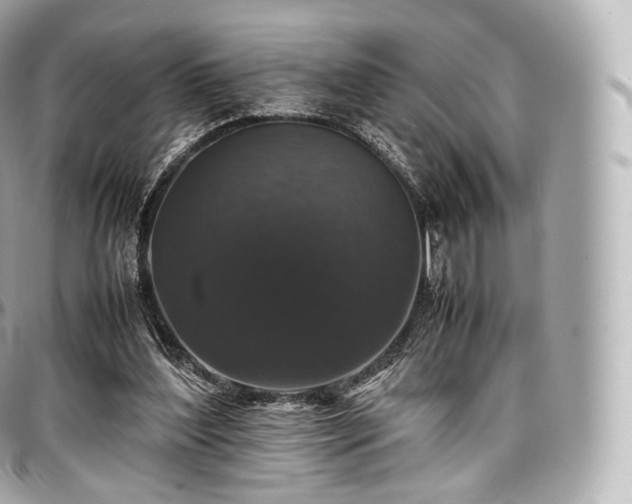 X0000097300204200802221343