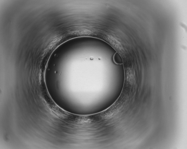 X0000097300206200802221343