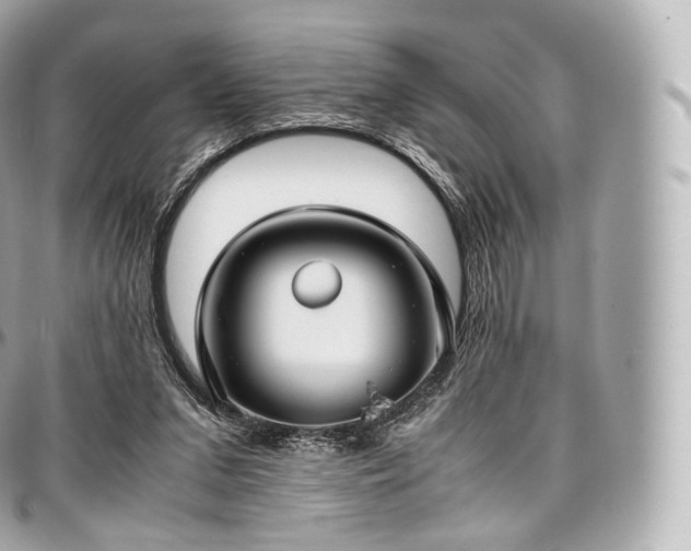 X0000097300207200802221343