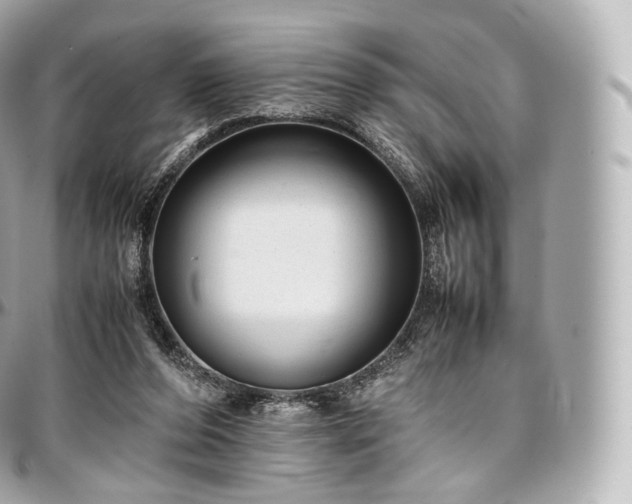 X0000097300208200802221343