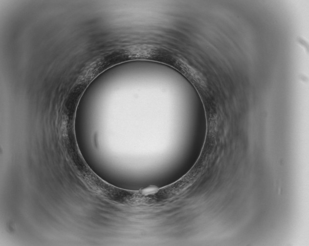 X0000097300209200802221343